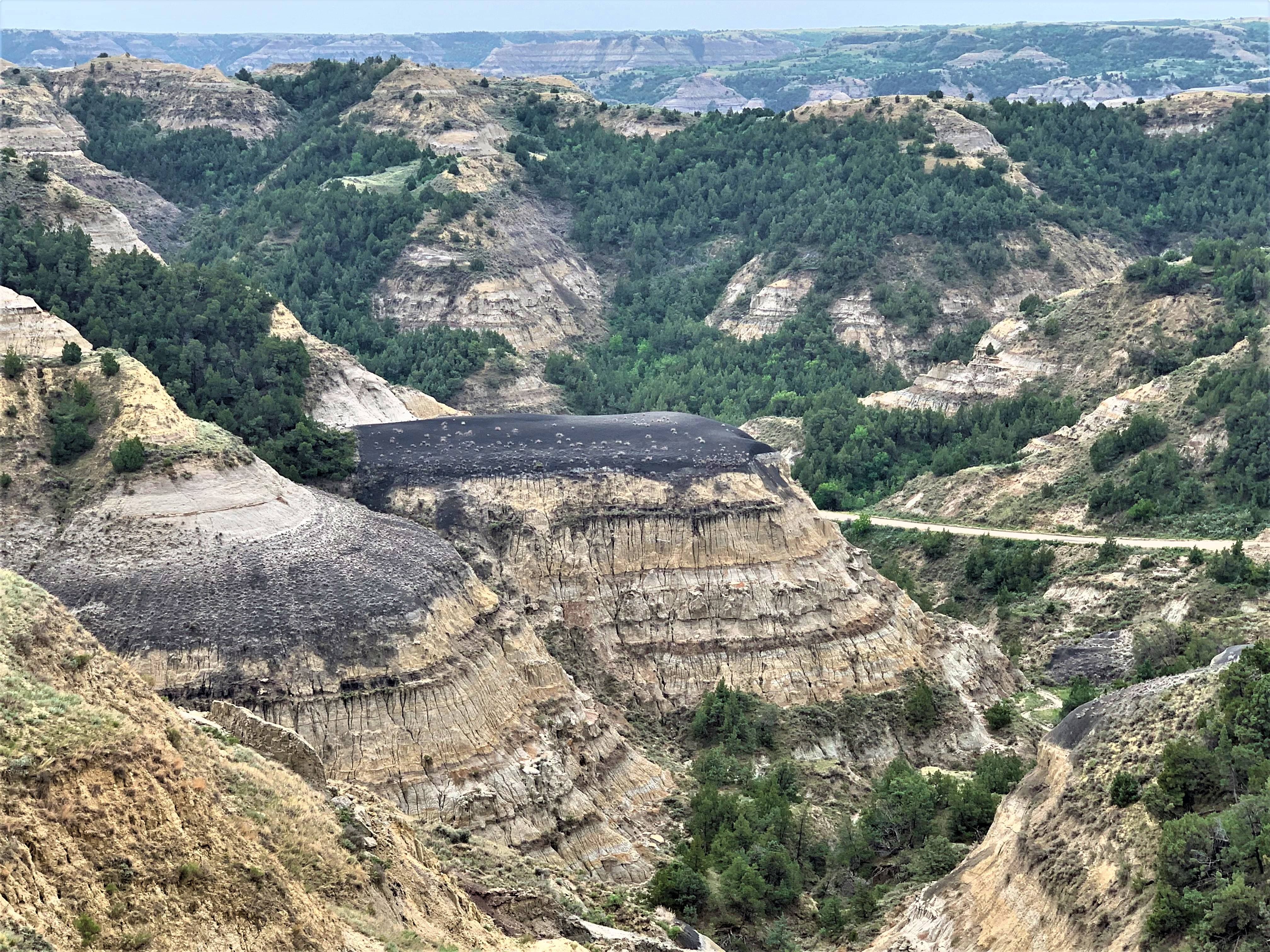 Theodore Roosevelt NP